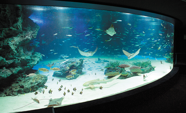 サンシャイン水族館