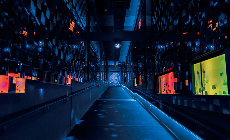 Sumida Aquarium