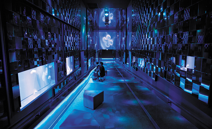 SUMIDA AQUARIUM