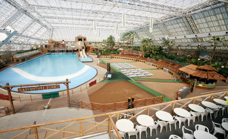 Tokyo Summerland