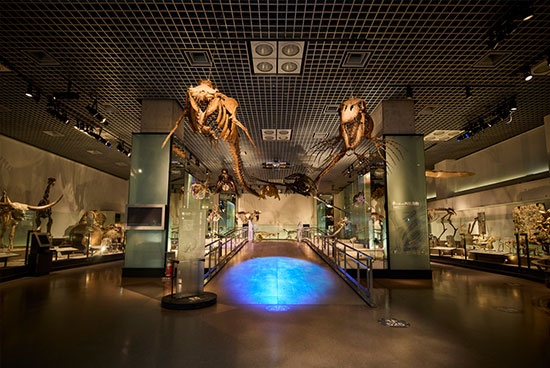 The National Museum of Nature and Science Now a Tokyo Unique Venue